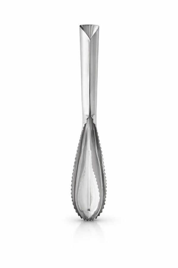 מנקה קשקשים לדגים Berox – אורך 23 ס״מ FE-L1200